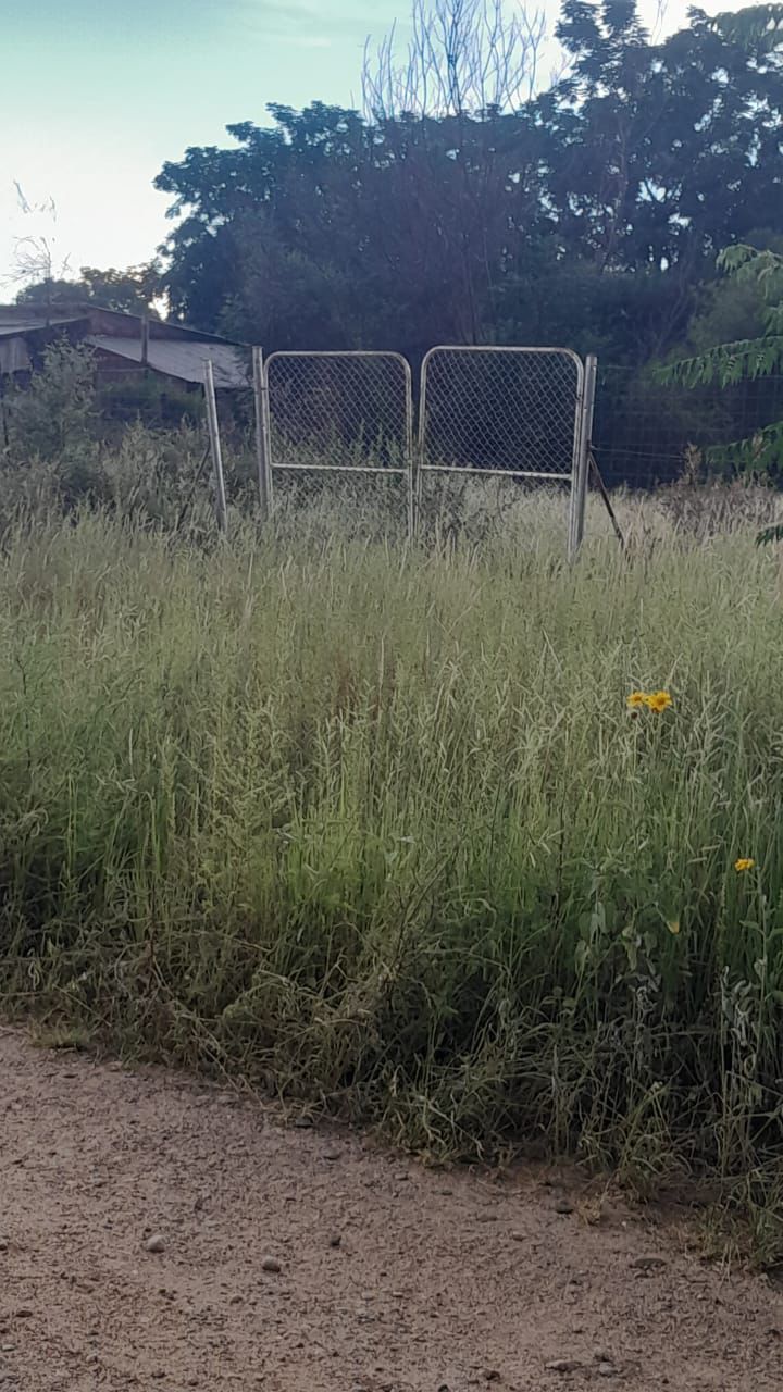  Bedroom Property for Sale in Christiana North West